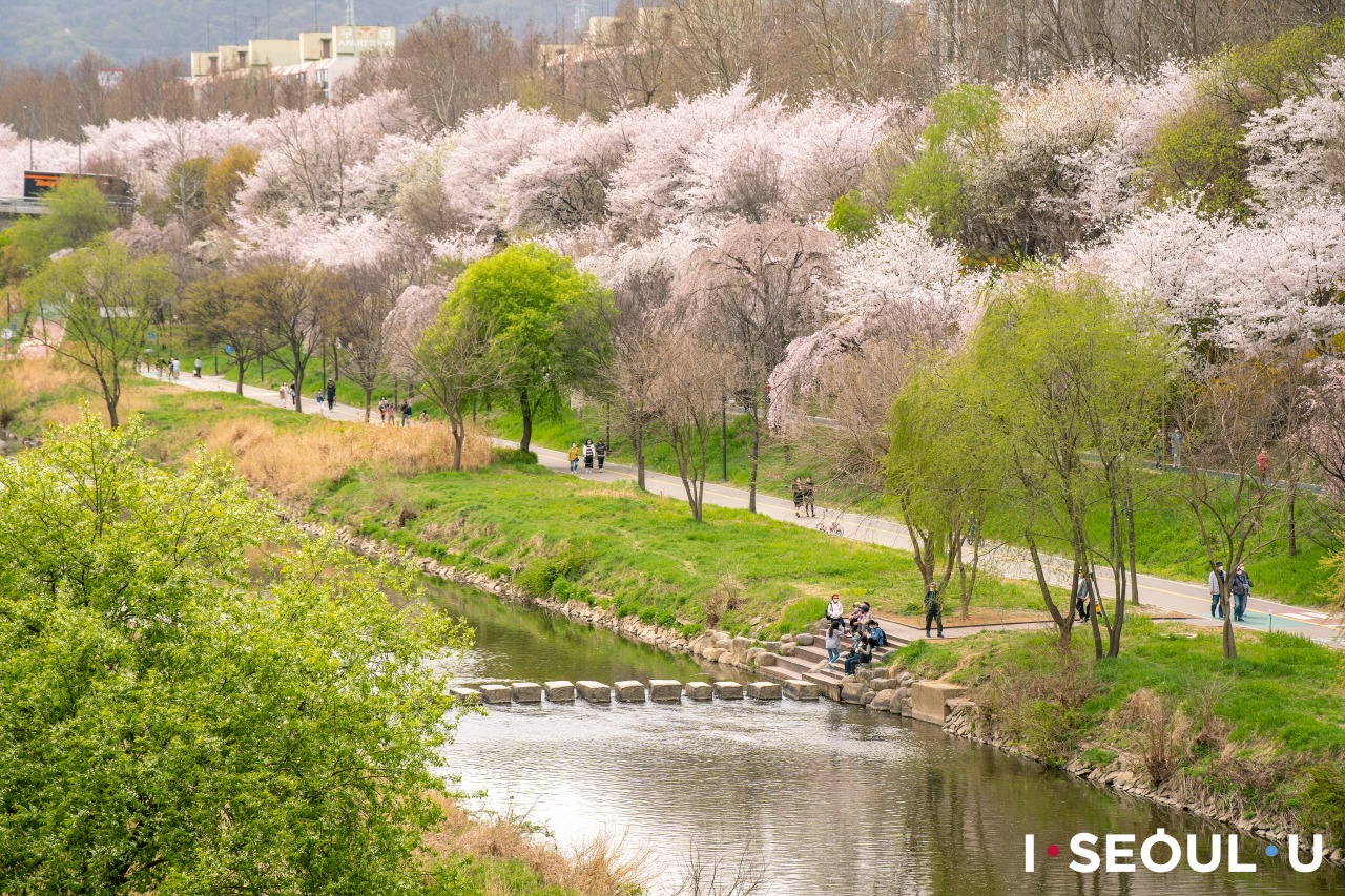 Yangjaecheon Stream, Daechi-dong, Seoul, Korea