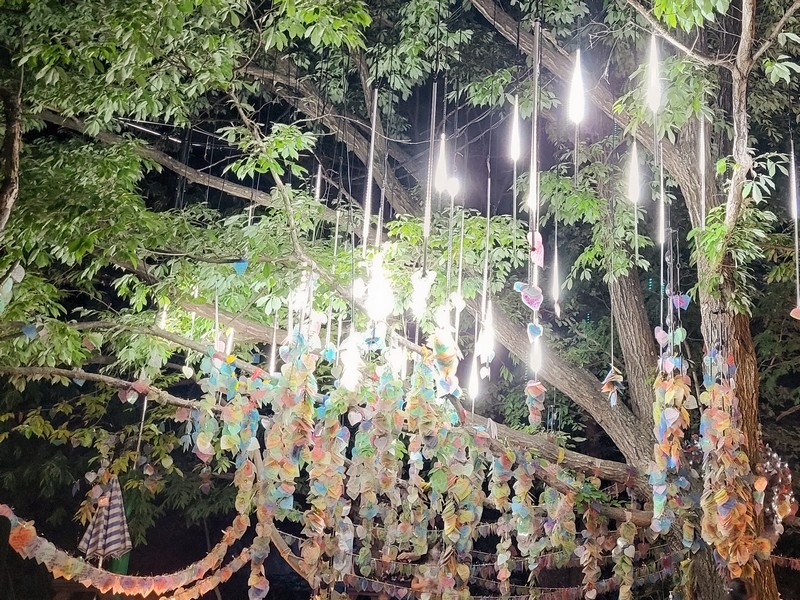 Lumina Night Walk, Gyeongju Expo Park, Gyeongju, Korea