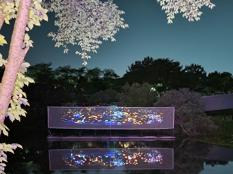 Lumina Night Walk, Gyeongju Expo Park, Gyeongju, Korea