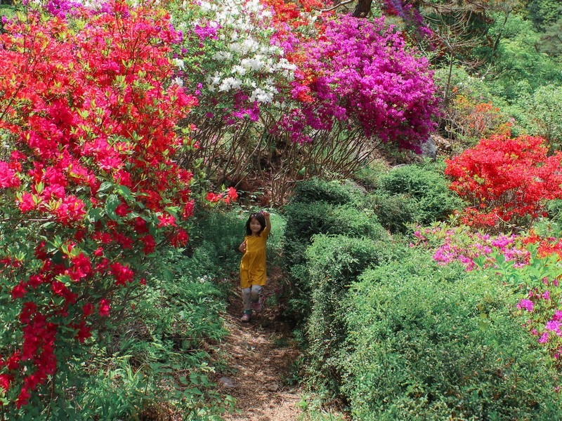 Garden of the Morning Calm, Gapeyong, Korea