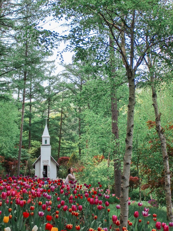 Garden of the Morning Calm, Gapyeong, Korea