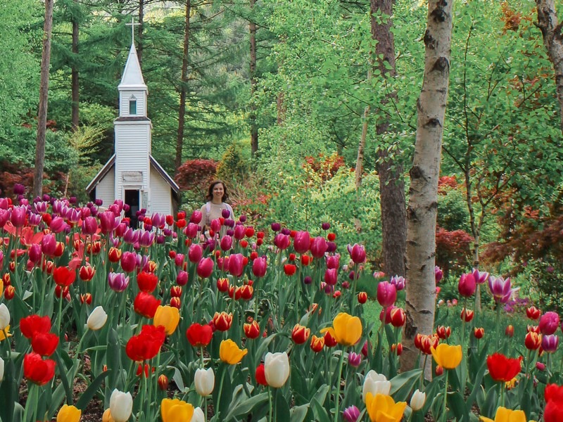 Garden of the Morning Calm, Gapyeong, Korea