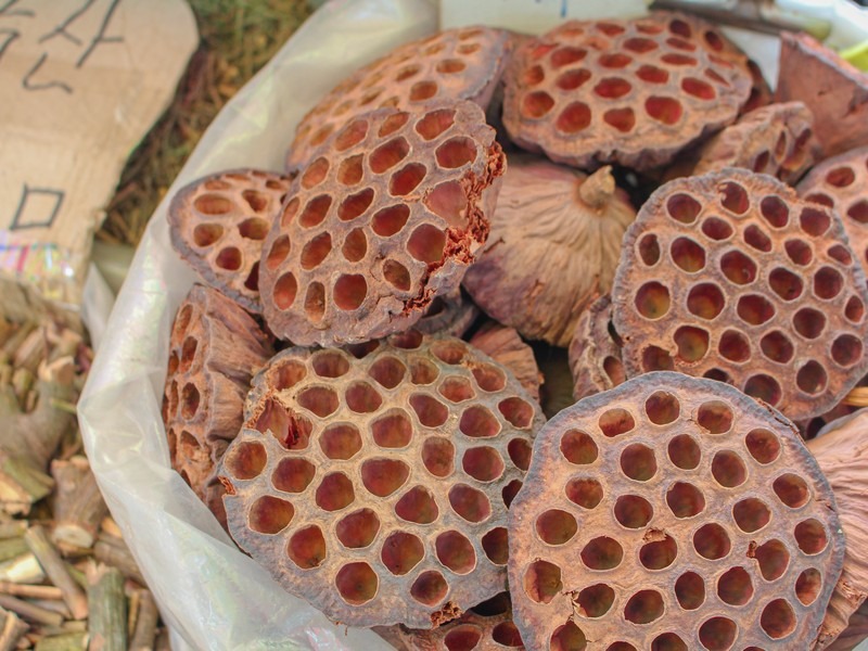 Korean Traditional Medicine, Yangnyeongsi Herbal Market, Seoul, Korea