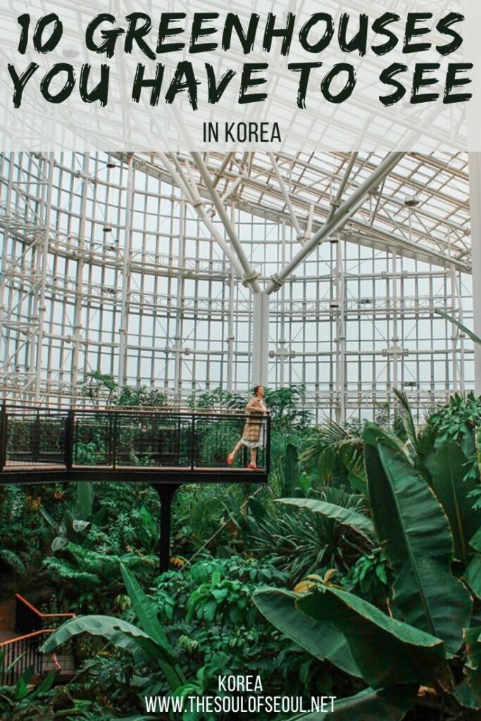 10 Beautiful Greenhouses in Korea To Find: There are some amazing greenhouses in Korea. Check out this guide to greenhouses in Korea to plan an epic trip with beautiful scenery.