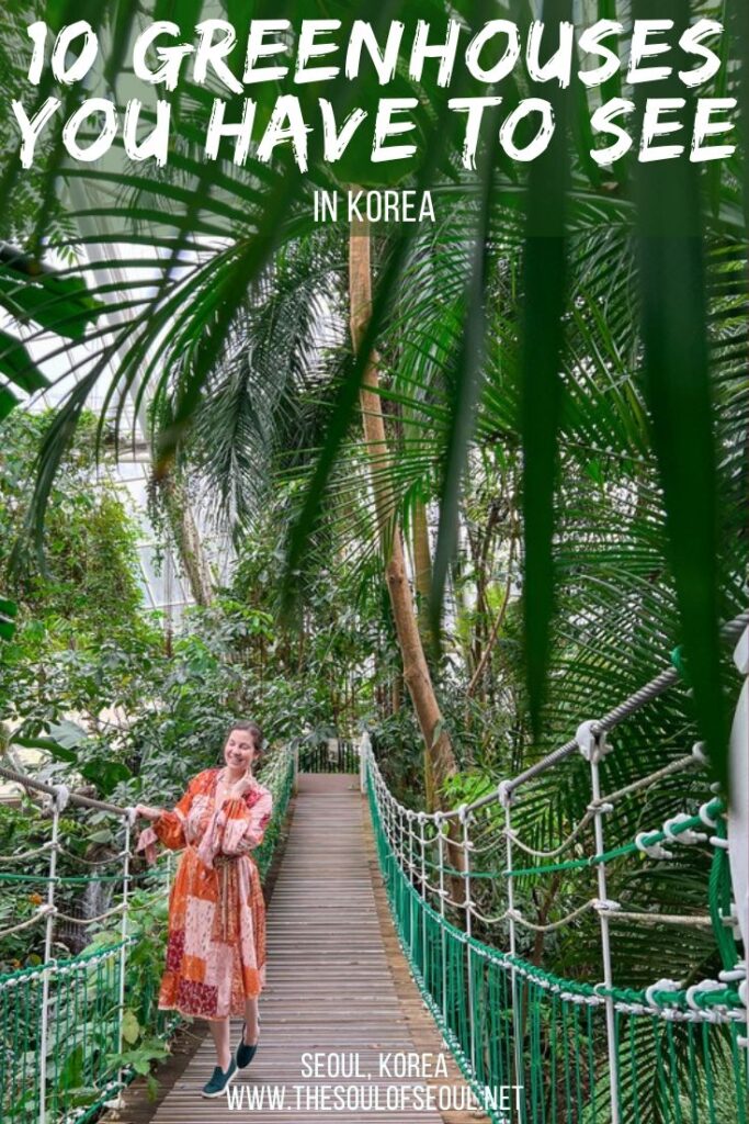 10 Beautiful Greenhouses in Korea To Find: There are some amazing greenhouses in Korea. Check out this guide to greenhouses in Korea to plan an epic trip with beautiful scenery.