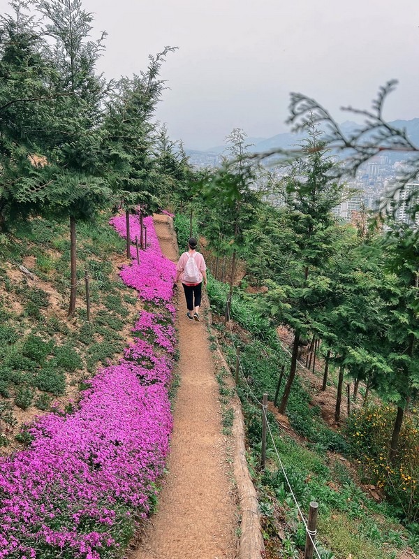 Bongsan Mountain (봉산), Eunpyeong-gu, Seoul, Korea