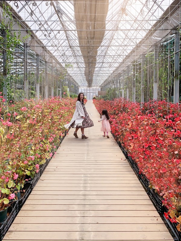 Asan Botanical Garden Greenhouse (세계꽃식물원), Chungcheongnam-do, Korea