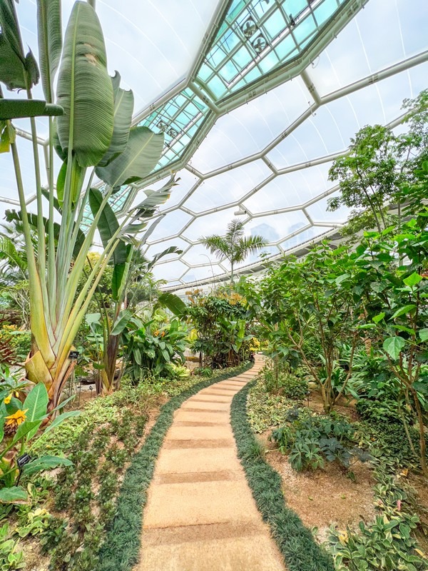 Bucheon Lake Botanical Garden's Supia (부천호수식물원 수피아), Bucheon, Korea: Greenhouse