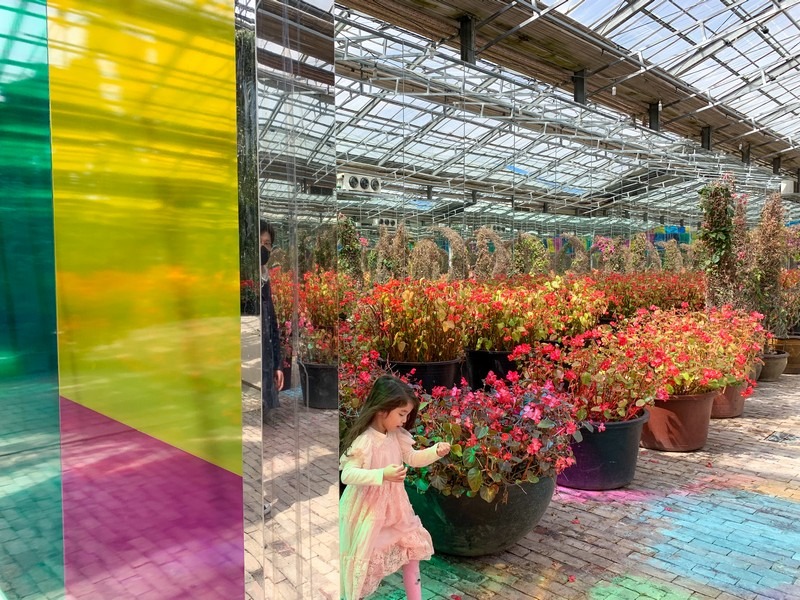 Asan Botanical Garden Greenhouse (세계꽃식물원), Chungcheongnam-do, Korea