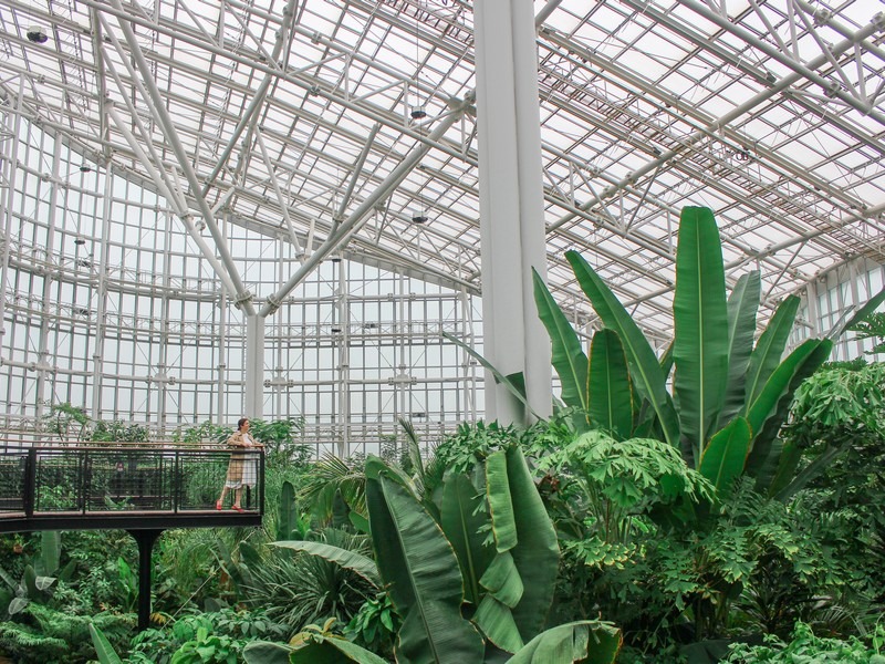 10 Beautiful Greenhouses in Korea To Find – The Soul of Seoul