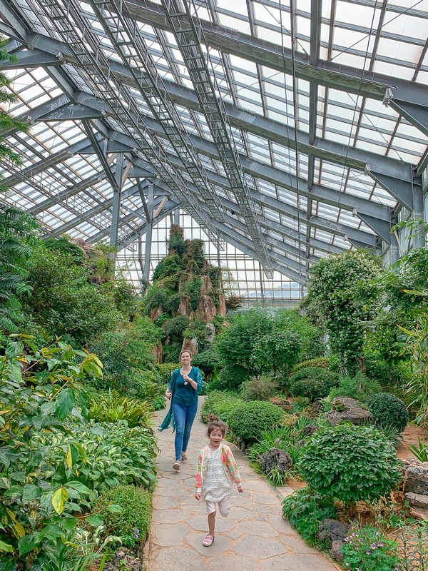 Hwaseong Botanical Garden Greenhouse (화성시 우리꽃 식물원), Hwaseong, Gyeonggi-do, Korea