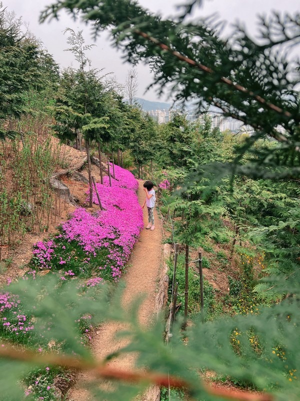 Bongsan Mountain (봉산), Eunpyeong-gu, Seoul, Korea