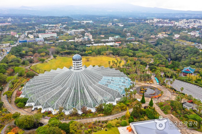 Yeomiji Botanical Garden Greenhouse (여미지 식물원), Jeju, Korea: Greenhouse