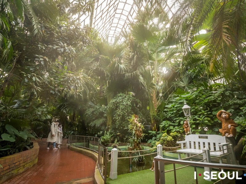 Children's Grand Park Botanical Garden Greenhouse (어린이대공원 식물원 온실), Seoul, Korea: Greenhouse