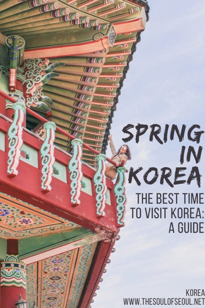 A Guide To Spring In Korea: What To Expect: From spring weather to spring flowers and the packing tips you mean. Here's what you should know to travel in Korea in the spring.