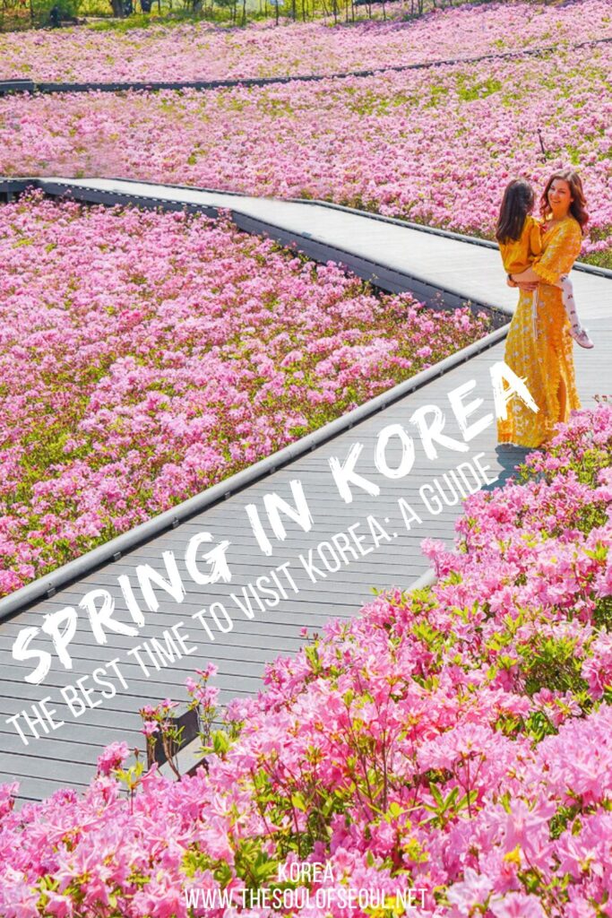 A Guide To Spring In Korea: What To Expect: From spring weather to spring flowers and the packing tips you mean. Here's what you should know to travel in Korea in the spring.