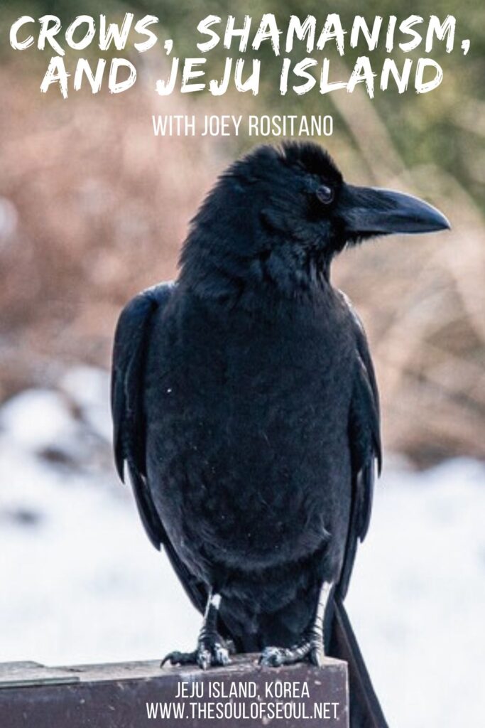 Crows, Shamanism, and Jeju Island with Joey Rositano: 'Scattering' by Joey Rositano is a photobook that shares the intriguing connection between humans and crows in the Shamanic ceremonies on Jeju Island.