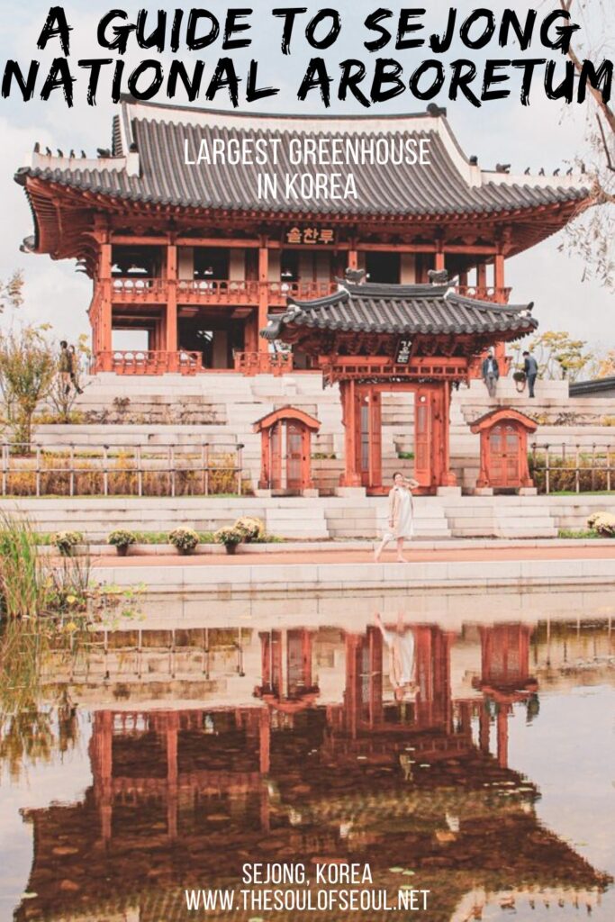 A Guide To The Sejong National Arboretum: Did you know Korea's first urban national arboretum, Sejong National Arboretum (국립세종수목원), is located in Sejong City? Learn more in this guide.