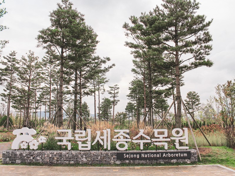 Sejong National Arboretum (국립세종수목원), Sejong, Korea