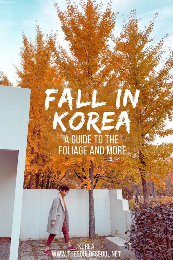 A Guide to Fall In Korea: Foliage and More: Get ready for fall in Korea. From when to expect peak foliage to flower spots, the weather and more. Have an amazing trip to Korea this autumn.