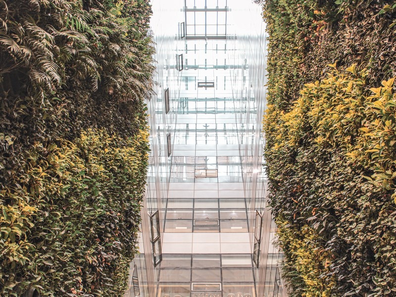 Seoul City Hall, Seoul, Korea: The Green Wall