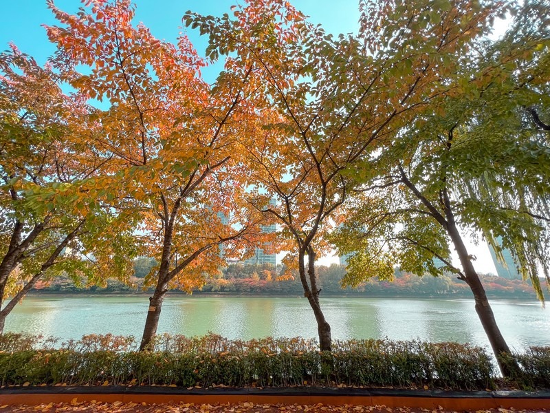 Seokchon Lake (석촌호수공원), Jamsil, Seoul, Korea