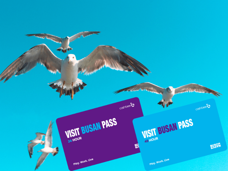 Visit Busan Pass