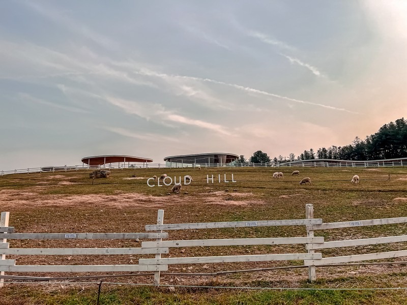 Gapyeong Sheep Farm (가평양떼목장), Gapyeong, Gyeonggi-do, Korea