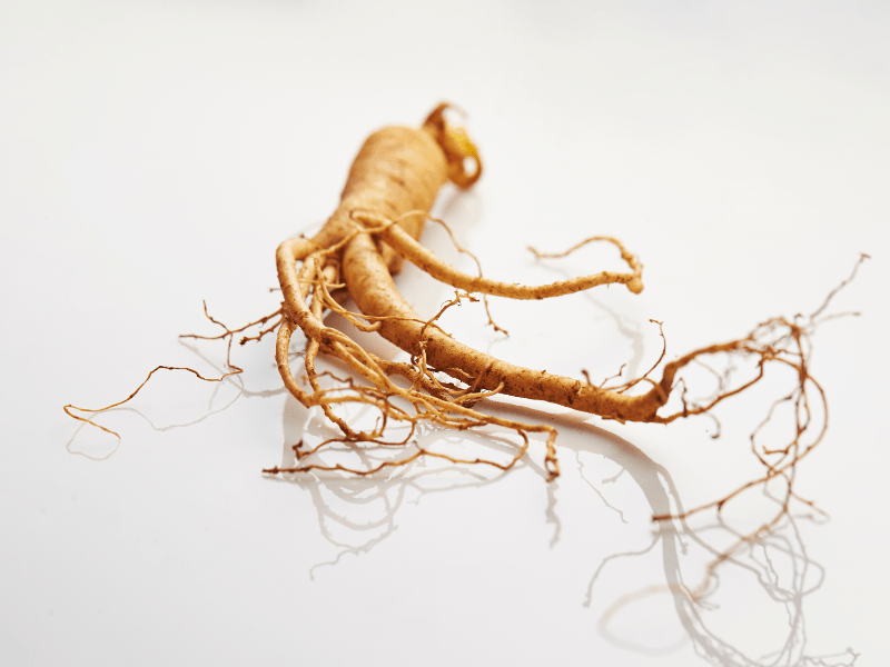 ginseng