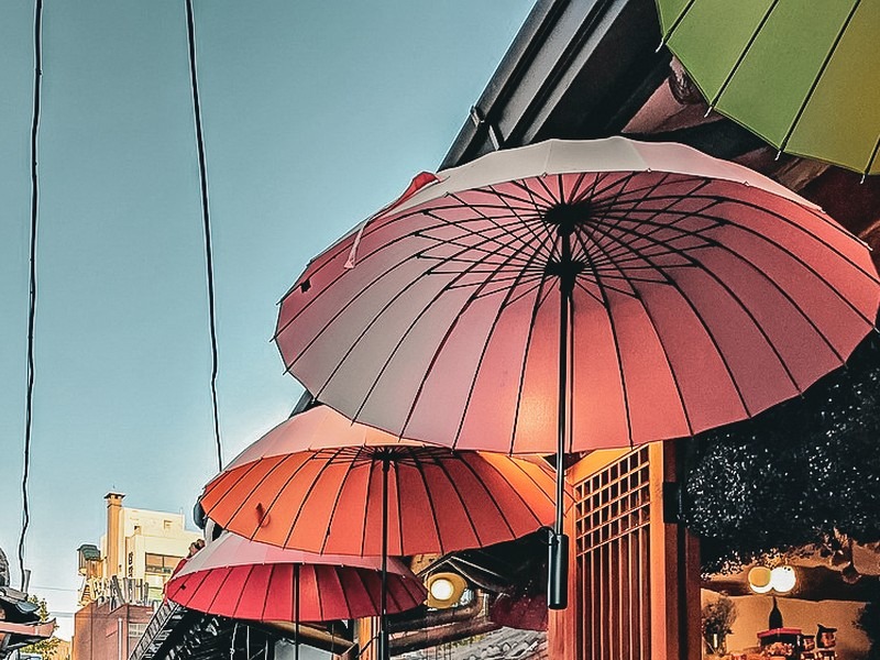 Madang Flower Cafe (마당플라워카페), Ikseon-dong, Seoul, Korea