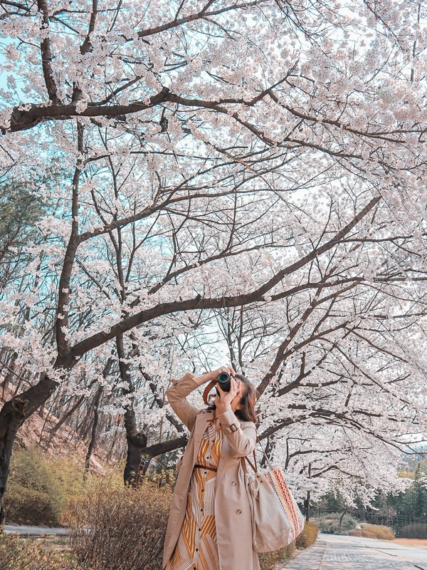 Dream Forest (북서울 꿈의숲), Gangbuk-gu, Seoul, Korea