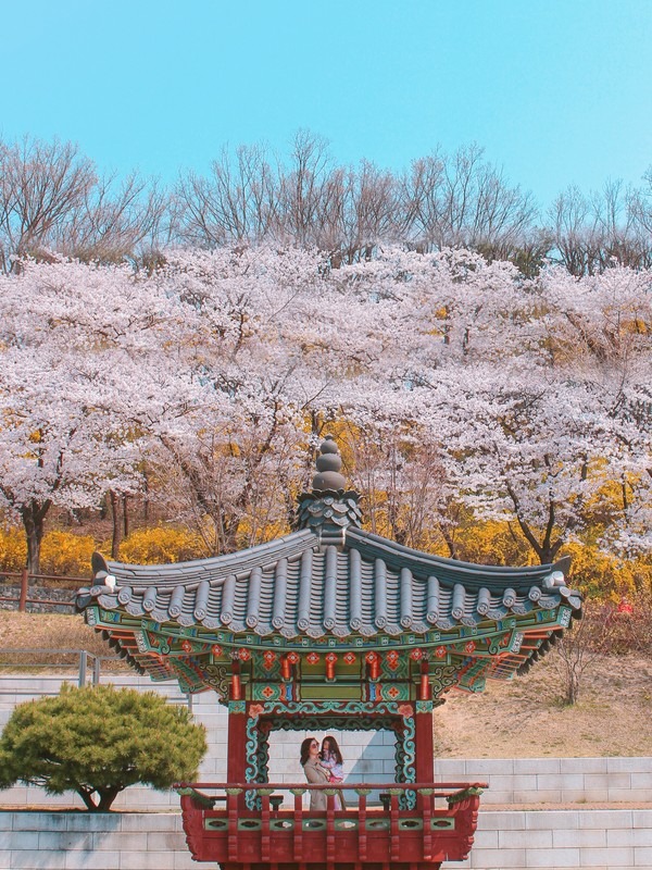 Dream Forest (북서울 꿈의숲), Gangbuk-gu, Seoul, Korea