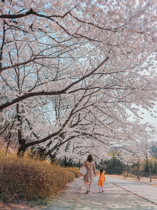 Dream Forest (북서울 꿈의숲), Gangbuk-gu, Seoul, Korea