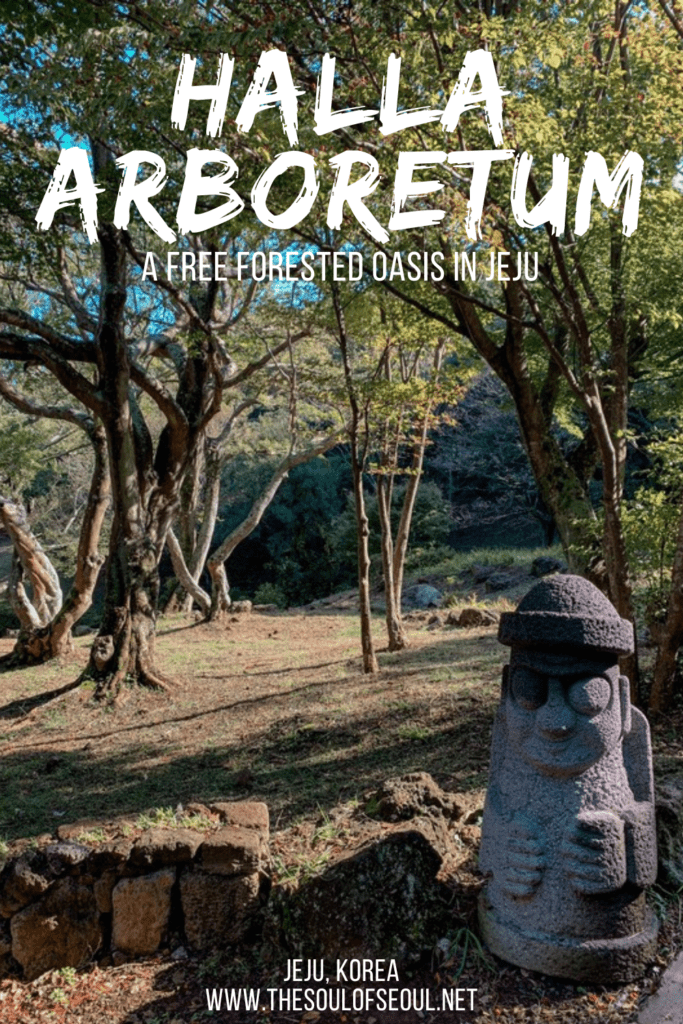 Halla Arboretum Is A Free Forested Oasis In The Middle Of Jeju City: The Halla Arboretum is a beautiful forested garden in Jeju City near Jeju Airport. Overlooked by tourists, it's peaceful, calm, and full of nature.