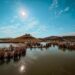 Suncheon Bay National Garden (순천만국가정원), Suncheon, Jeollanam-do, Korea