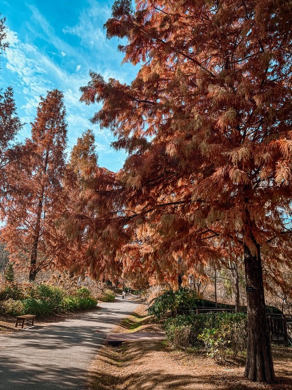 Suncheon Bay National Garden (순천만국가정원), Suncheon, Jeollanam-do, Korea