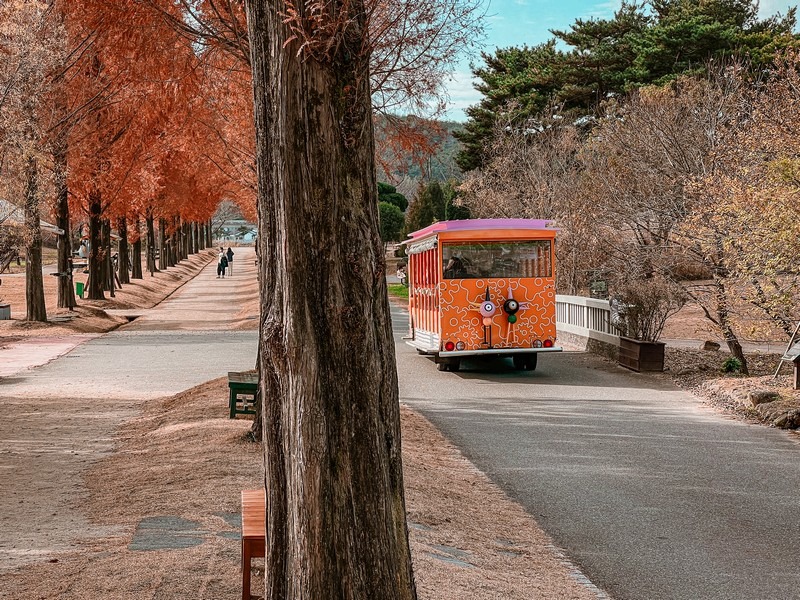 Suncheon Bay National Garden (순천만국가정원), Suncheon, Jeollanam-do, Korea