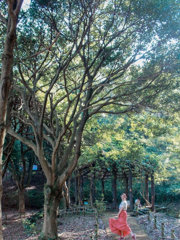 Halla Arboretum (한라수목원), Jeju City, Jeju Island, Korea