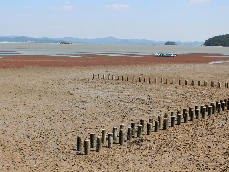 Muan Ecological Tidal Flat Land (무안황토갯벌랜드), Muan, Jeollanam-do, Korea