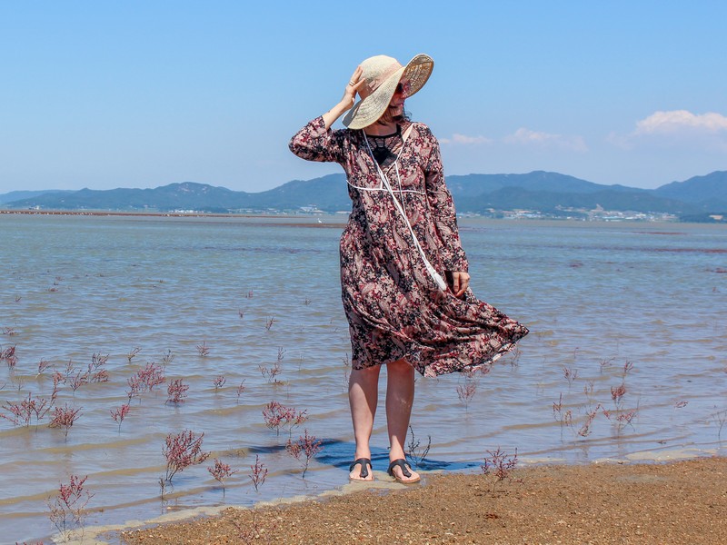 Muan Ecological Tidal Flat Land (무안황토갯벌랜드), Muan, Jeollanam-do, Korea