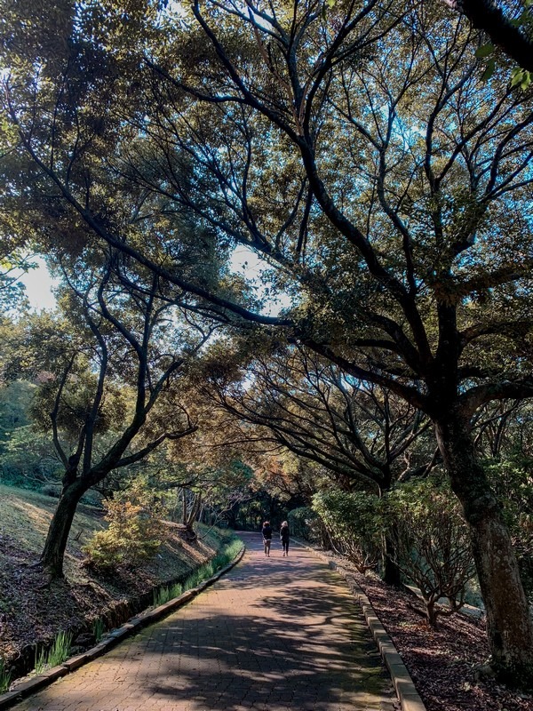 Halla Arboretum (한라수목원), Jeju City, Jeju Island, Korea