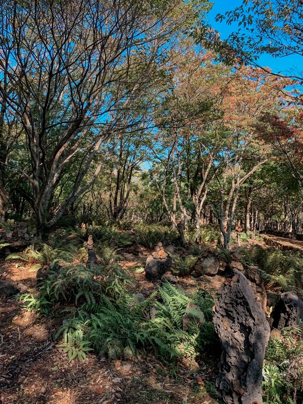 Halla Arboretum (한라수목원), Jeju City, Jeju Island, Korea