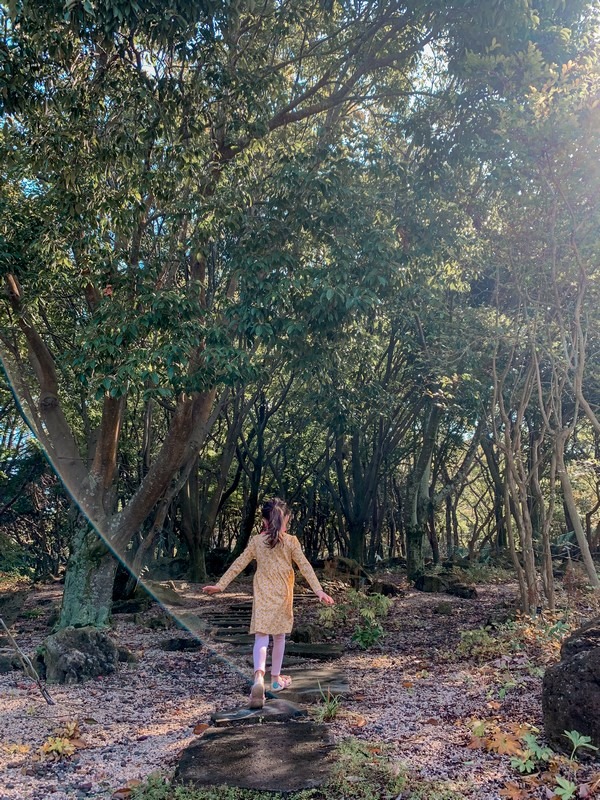 Halla Arboretum (한라수목원), Jeju City, Jeju Island, Korea