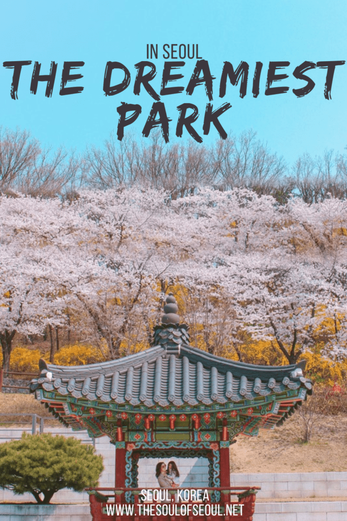 The Dreamiest Park In Seoul: Dream Forest: Dream Forest in northern Seoul, Korea is one of the dreamiest parks in the city, especially in the spring when the cherry blossoms bloom. Get ready to explore.