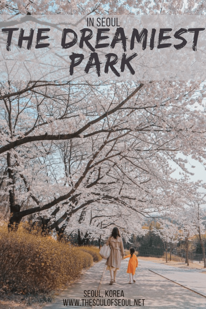 The Dreamiest Park In Seoul: Dream Forest: Dream Forest in northern Seoul, Korea is one of the dreamiest parks in the city, especially in the spring when the cherry blossoms bloom. Get ready to explore.