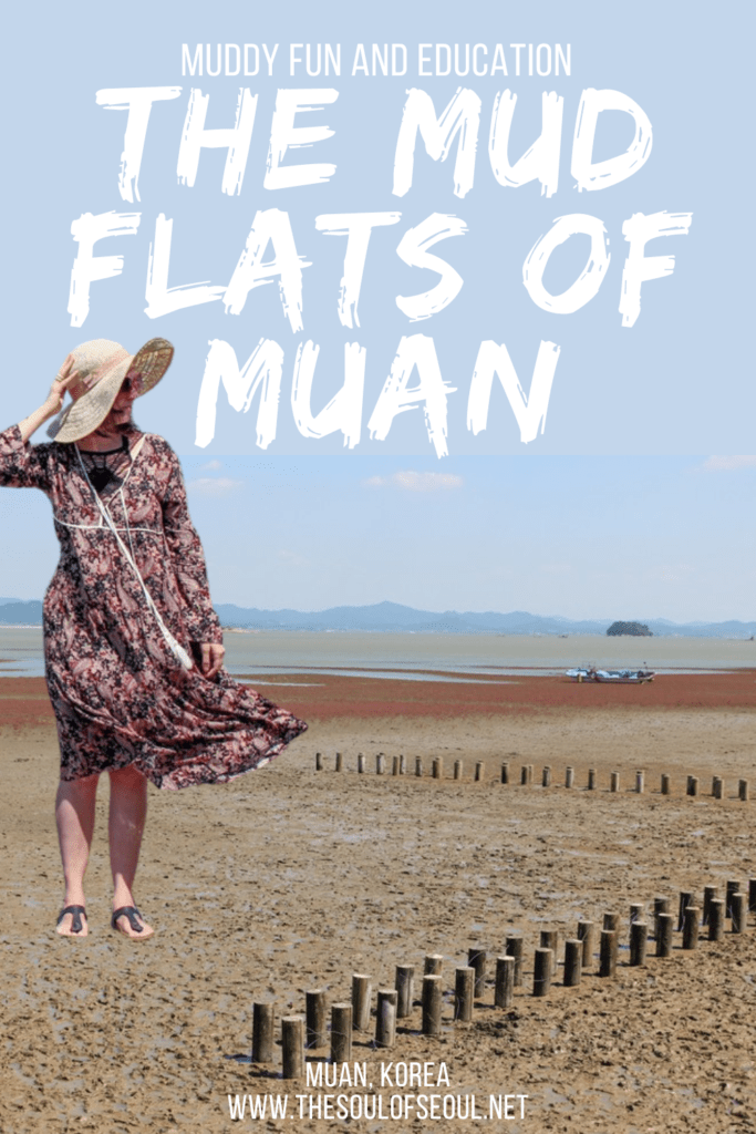 The Muan Mud Flats and The Other Mud Festival In Korea To Know About: The Muan Mud Flats on the southern coast of Korea are a beautiful and muddy fun escape especially during their mud festival in Korea. 