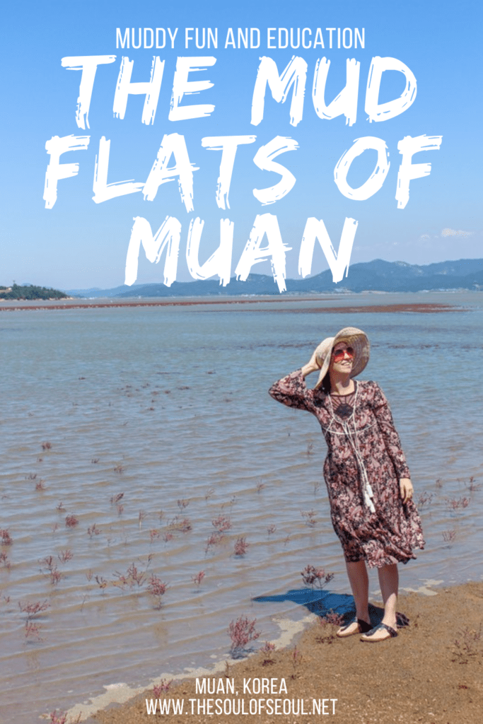 The Muan Mud Flats and The Other Mud Festival In Korea To Know About: The Muan Mud Flats on the southern coast of Korea are a beautiful and muddy fun escape especially during their mud festival in Korea. 