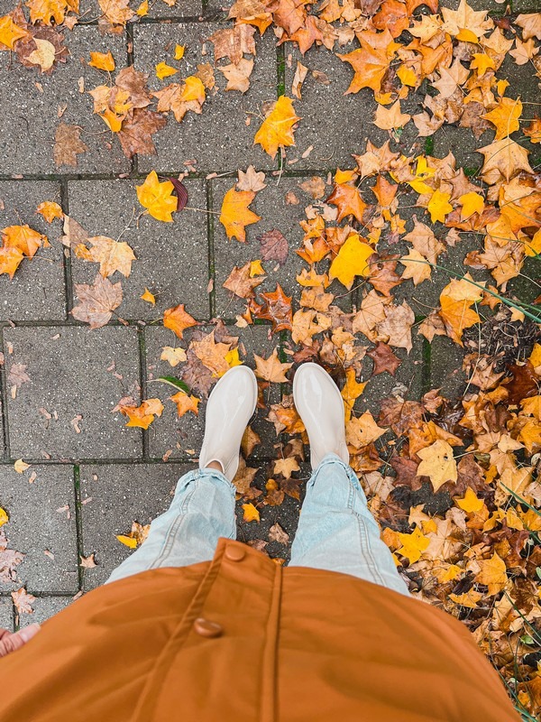 autumn rain, orange, fall foliage