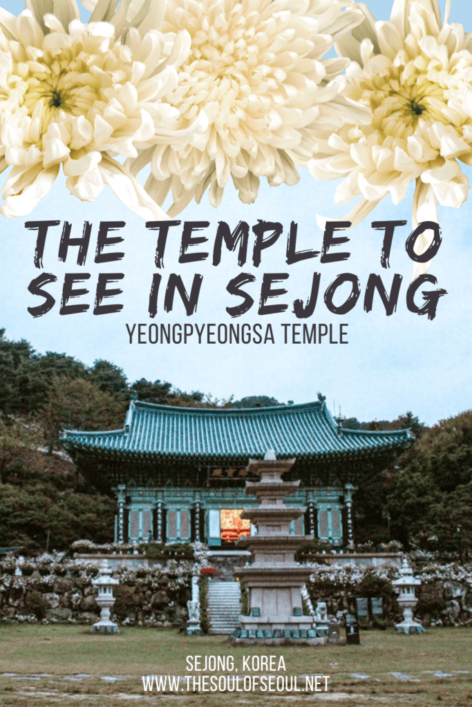 Yeongpyeongsa Temple: Visit When The Flowers Bloom In Sejong: Yeongpyeongsa Temple in Sejong, Korea is beautiful especially in the autumn when they host a Siberian Chrysanthemum Festival.