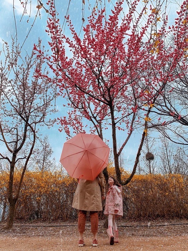 World Cup Park, Seoul, Korea; umbrella, rain